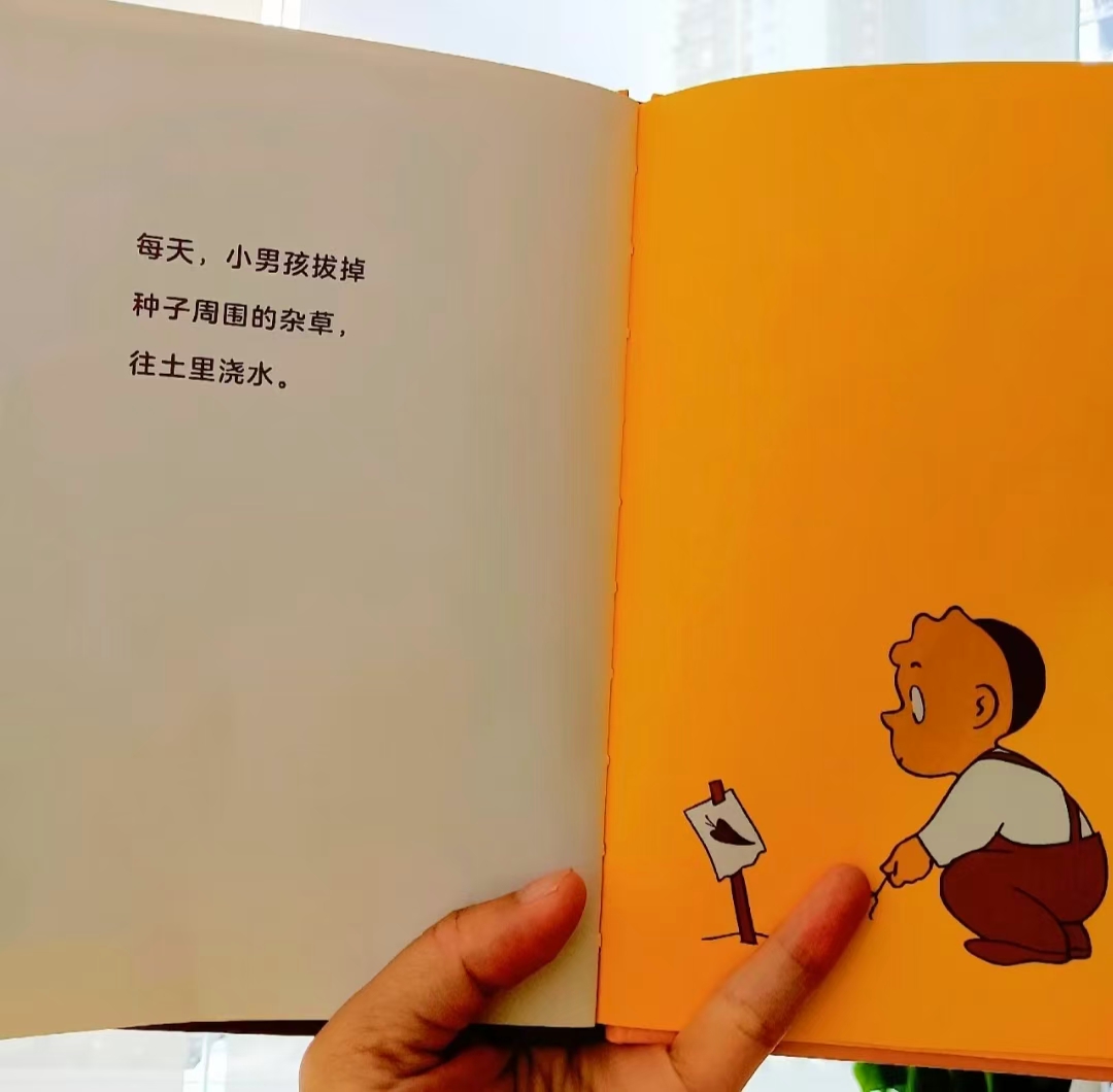 胡萝卜的种子精装 17元 - 线报酷