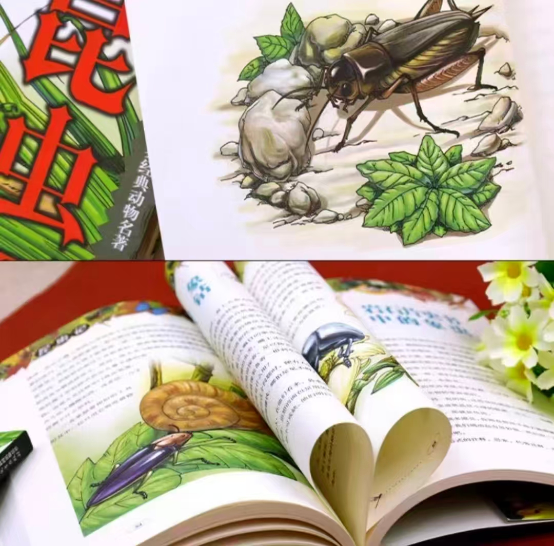 凤凰新华昆虫记美绘版上下册合集小学版法布尔全集彩绘版三四五六年级课外 17.4元 - 86线报