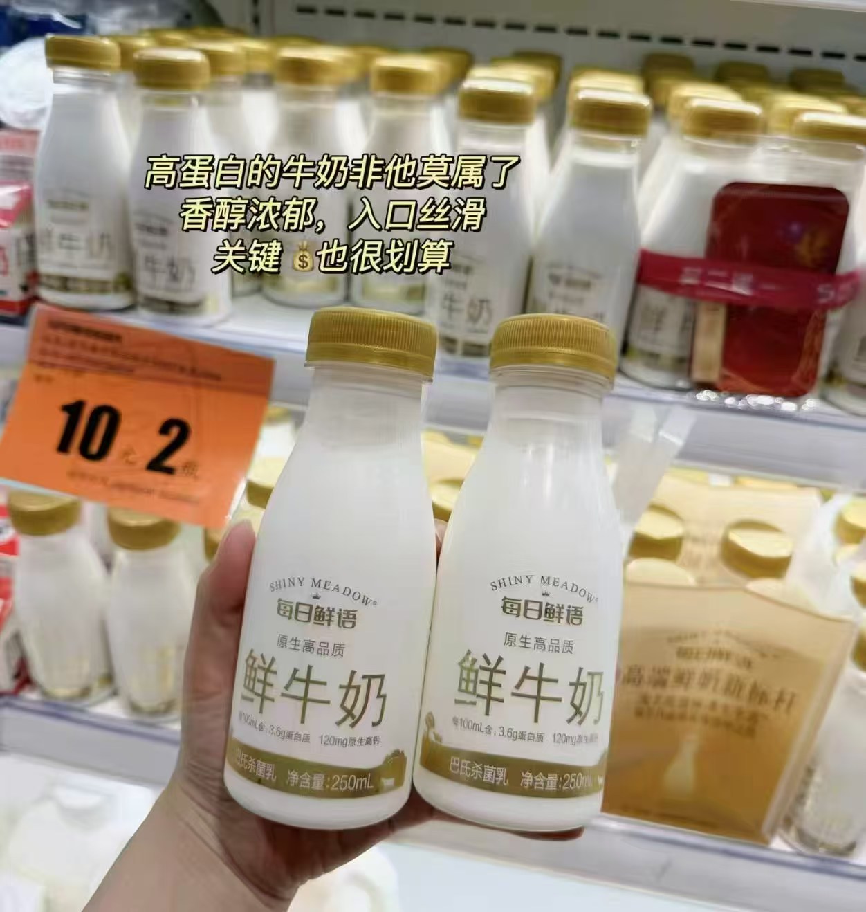每日鲜语高端鲜牛奶185ml*12瓶+250ml*2瓶 36.4元 - 86线报