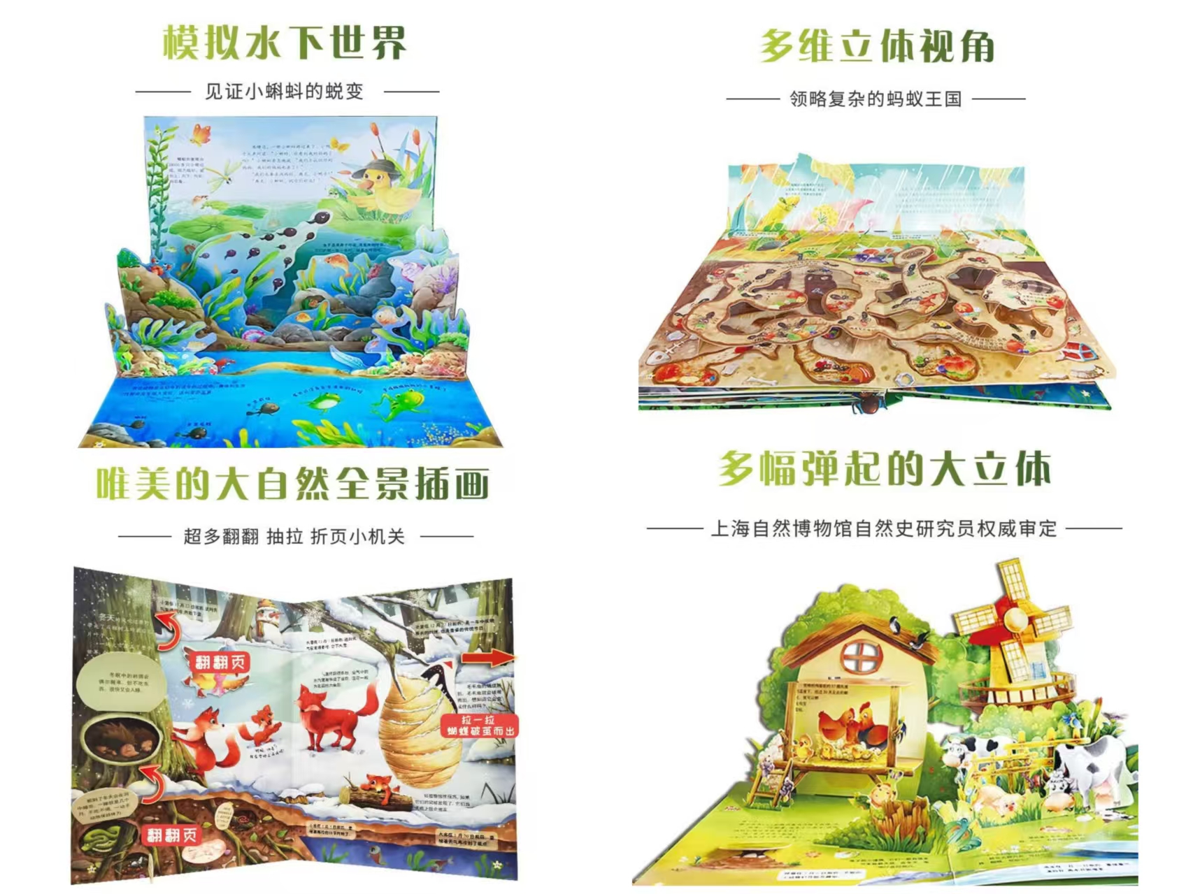 神奇的生命+大地球 90元 - 86线报