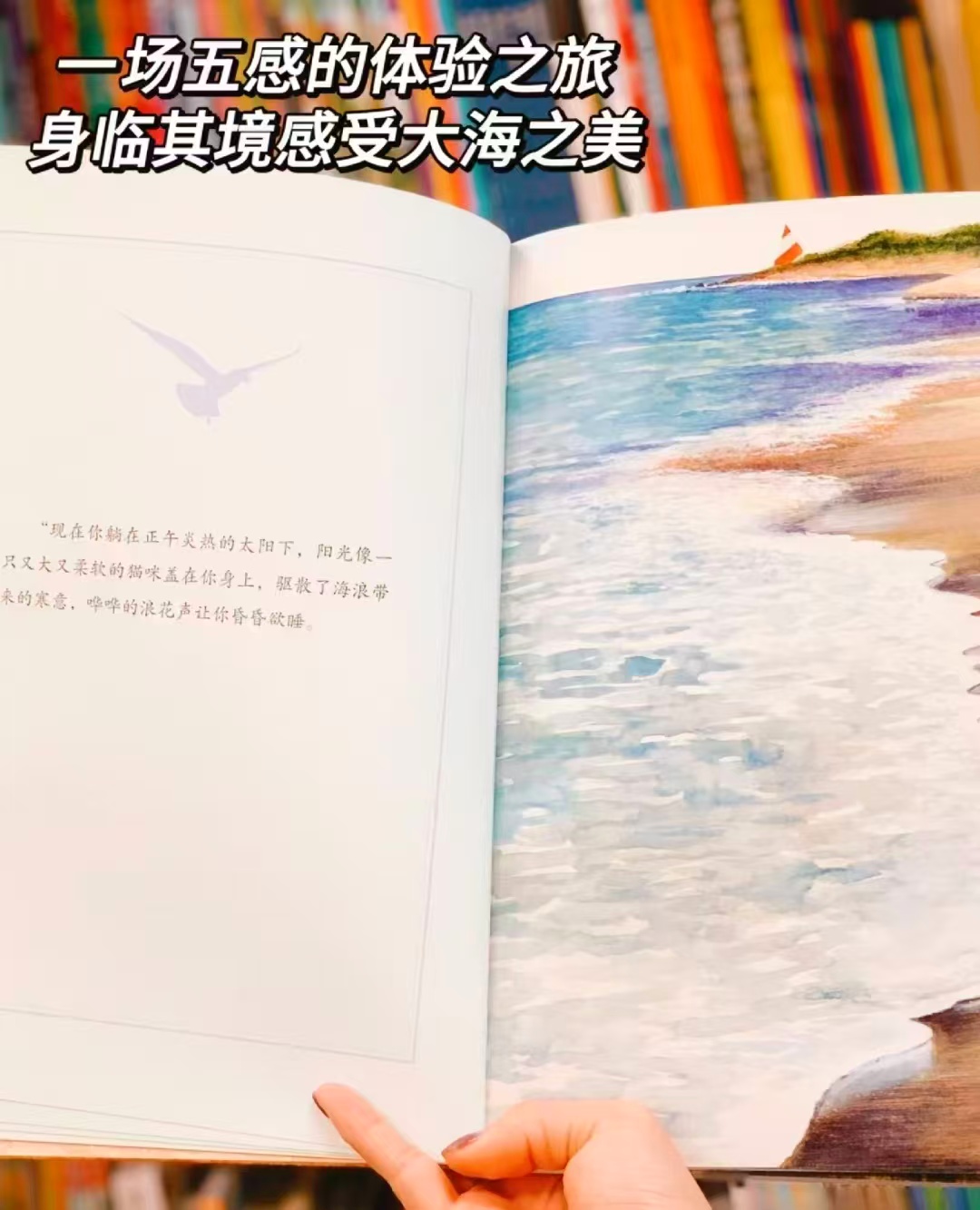 小博集凯迪克大奖作家儿童绘本五感体验 21元 - 线报酷
