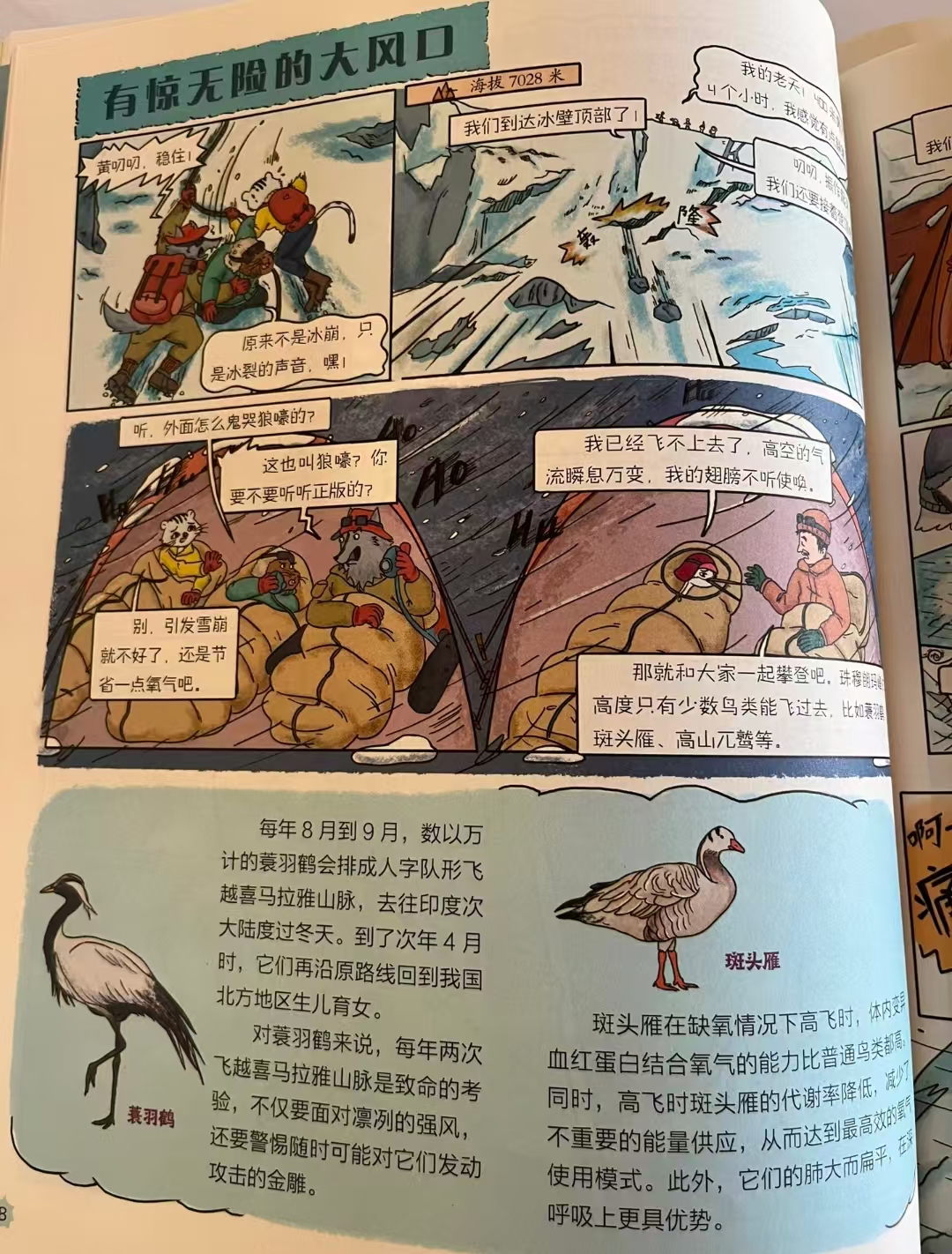 出发吧大爆炸小分队科考大冒险4册 34.4元 - 86线报