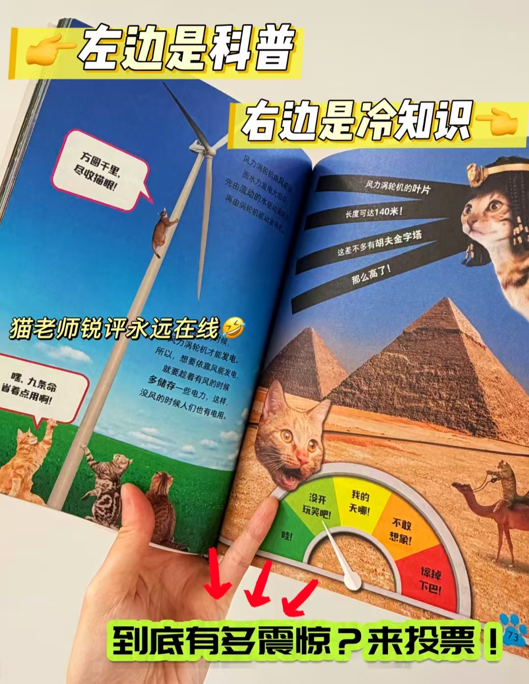 猫咪懂科学系列3册 猫咪懂科学+猫咪闯太空+猫咪遇恐龙 27.8元 - 86线报