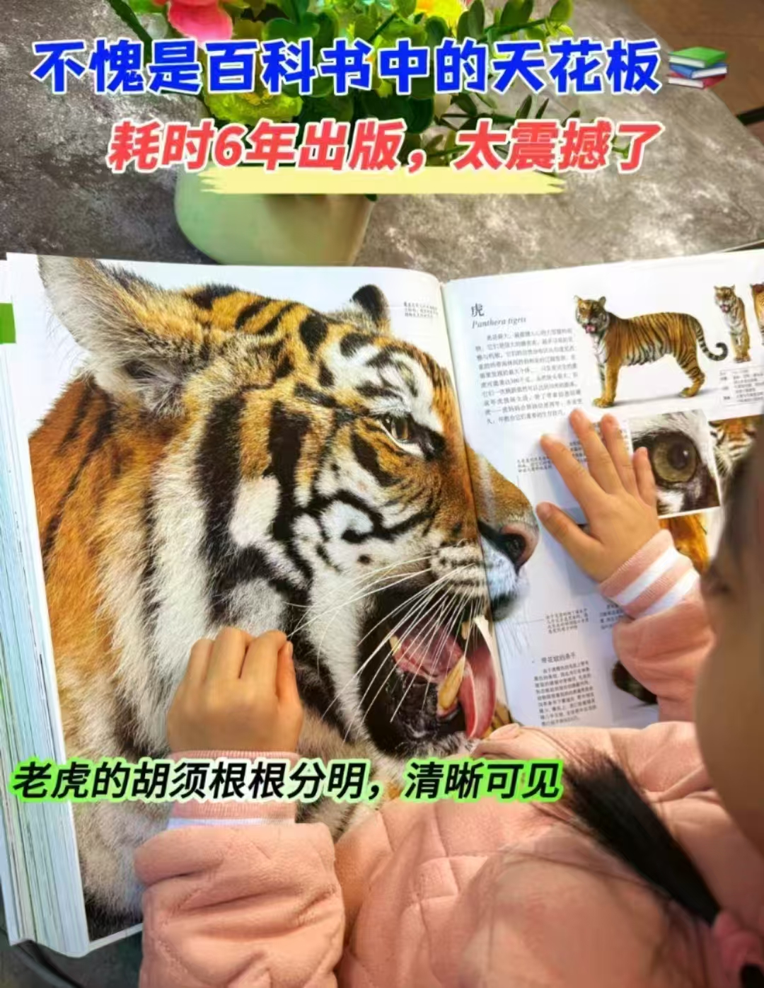 DK博物大百科点读版绿色印刷高清精美大开本精装典藏版 79.2元 - 线报酷 DK博物大百科点读版绿色印刷高清精美大开本精装典藏版 79.2元 - 线报酷