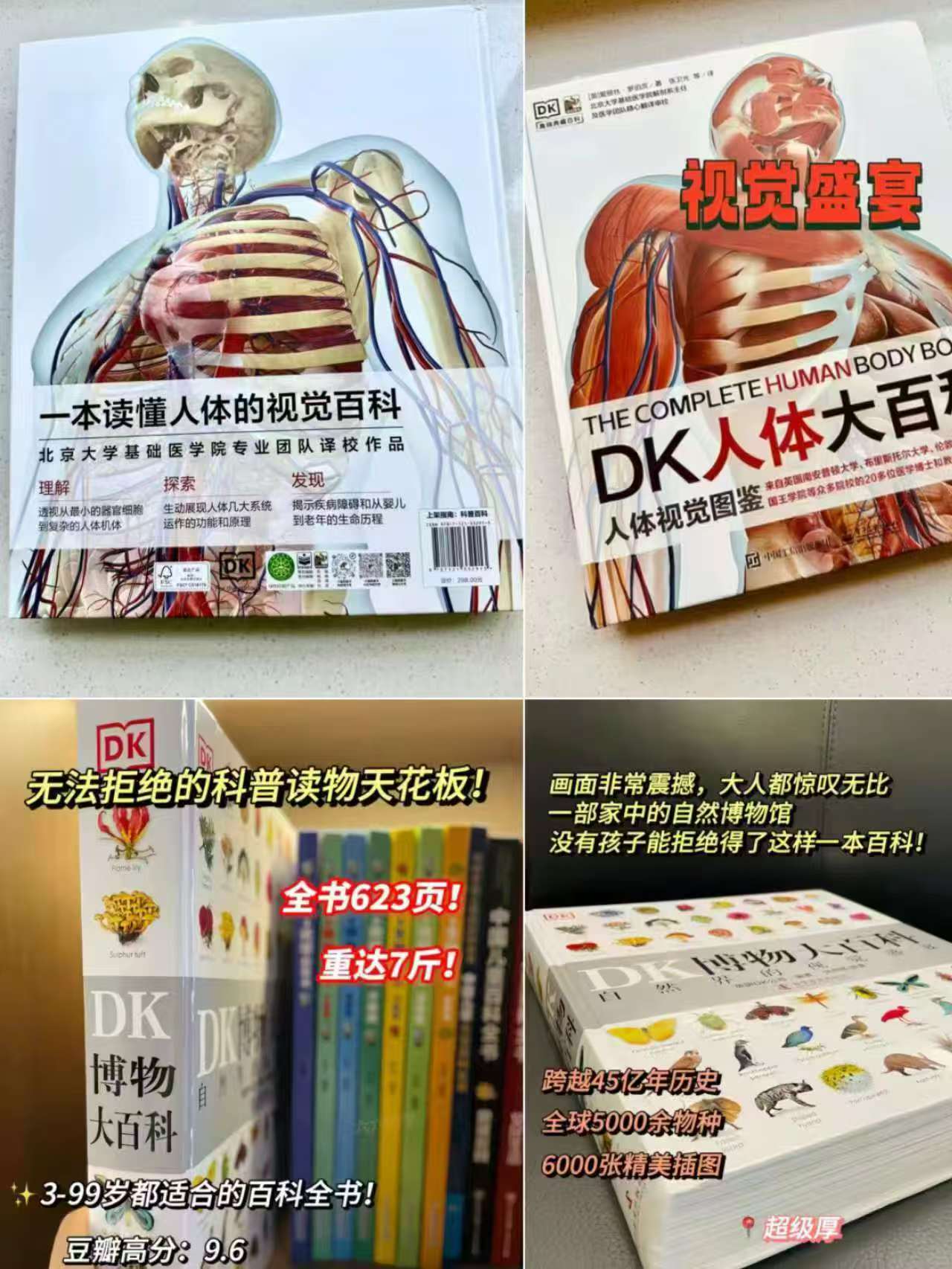 DK博物大百科+DK人体大百科修订版精装2册 137元 - 线报酷