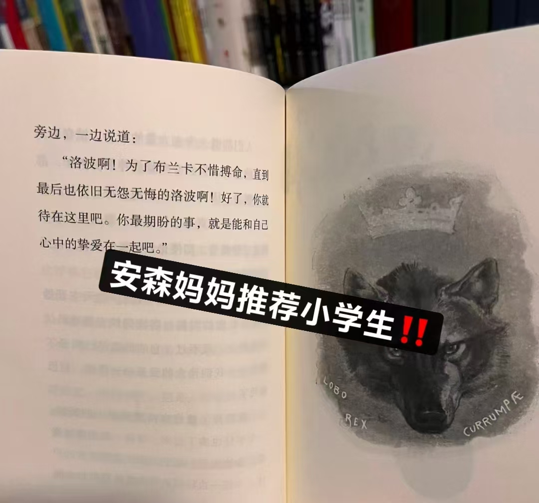 📚西顿动物记全套 15册💰89 🈴5.9/册 3-6年级学生课外阅读书籍 直接拍 - 86线报
