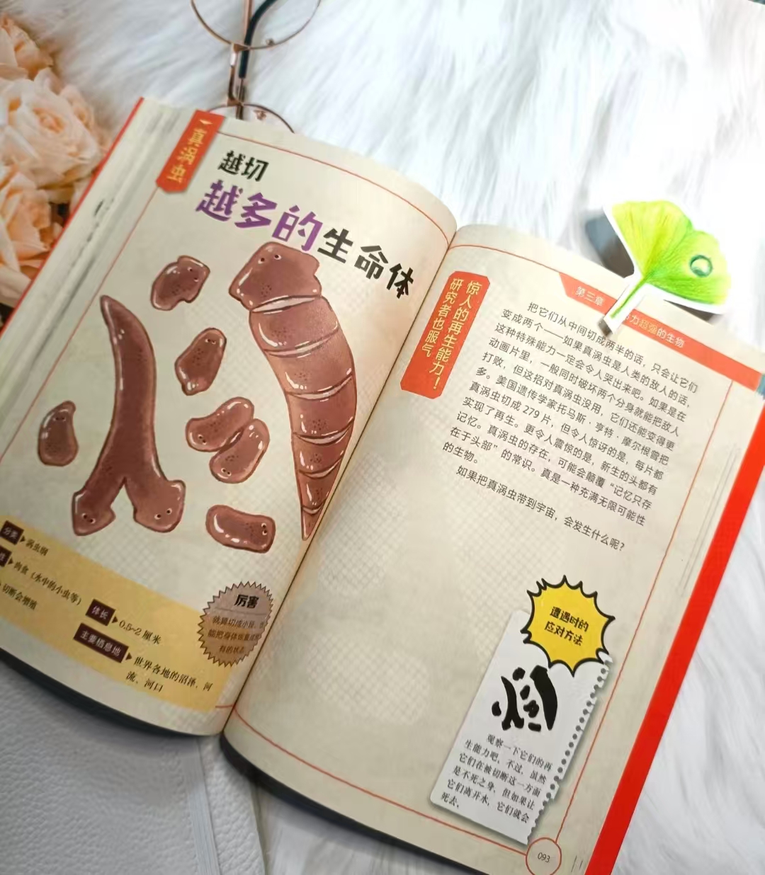 笑死人的进化危险的进化 11.9元 - 86线报