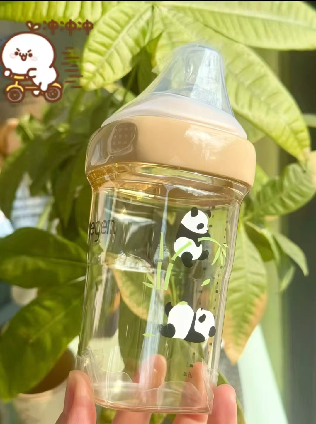 HEGEN海格恩奶瓶240ml+600ml保温杯 162.2元 - 86线报