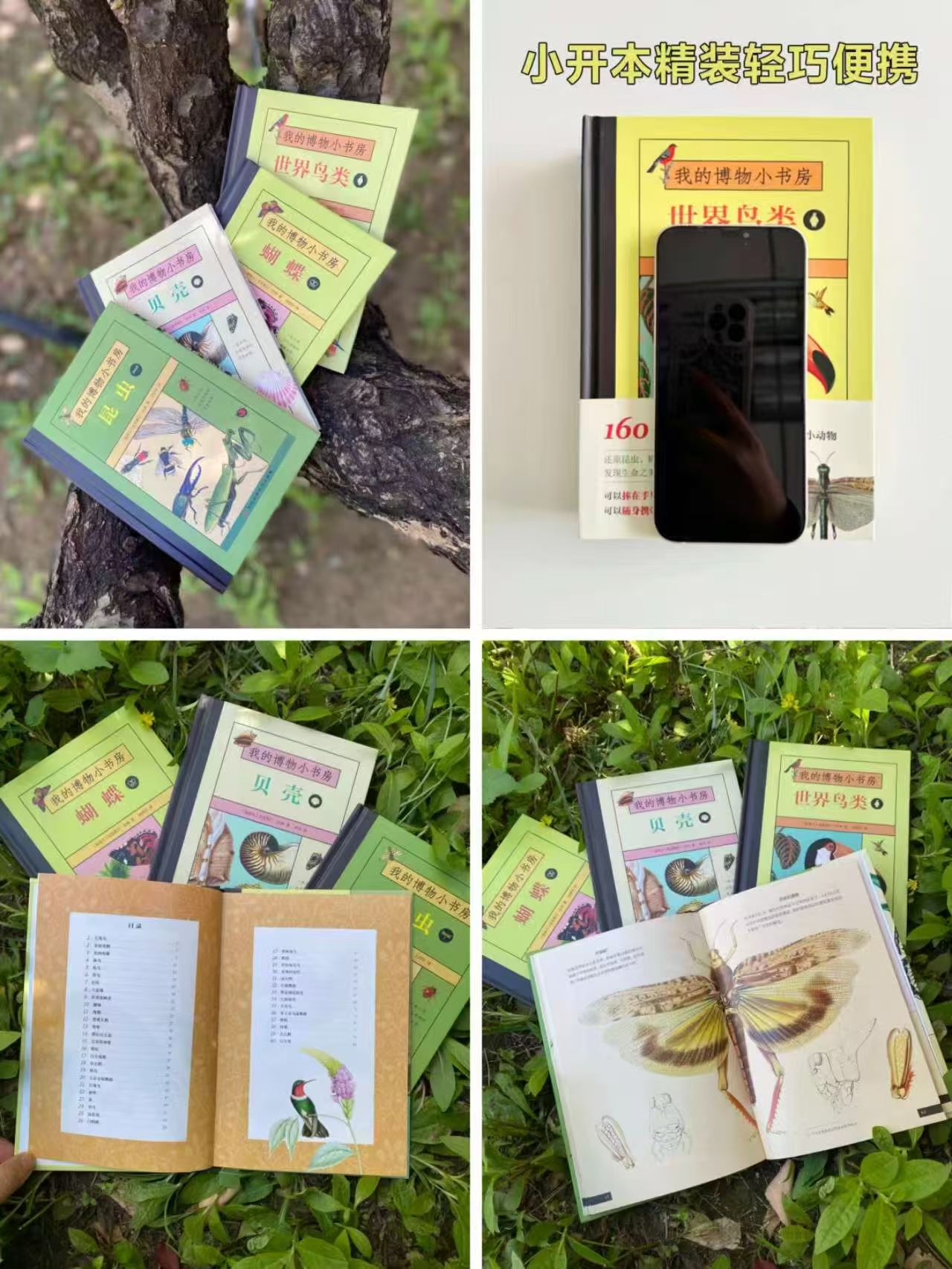 京东尚童我的博物小书房全4册 贝壳/蝴蝶/世界鸟类/昆虫 42.6元 - 线报酷