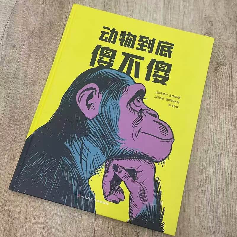 动物到底傻不傻 20.6元 - 86线报