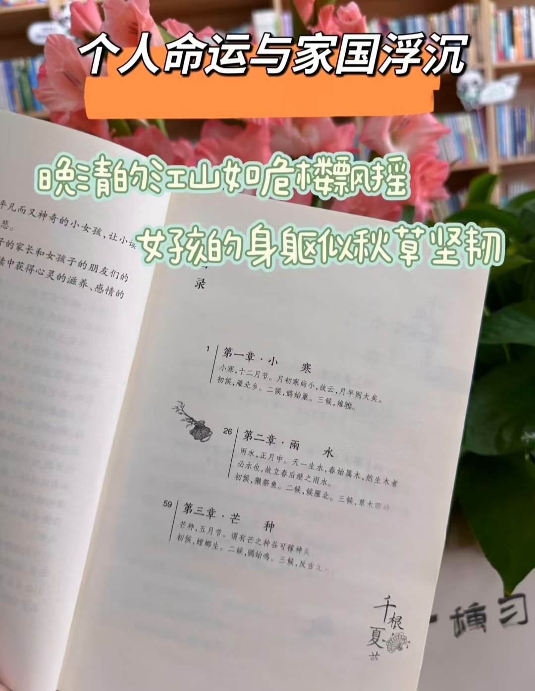 千根夏草3-6年级课外阅读儿童文学 11元 - 86线报 千根夏草3-6年级课外阅读儿童文学 11元 - 86线报