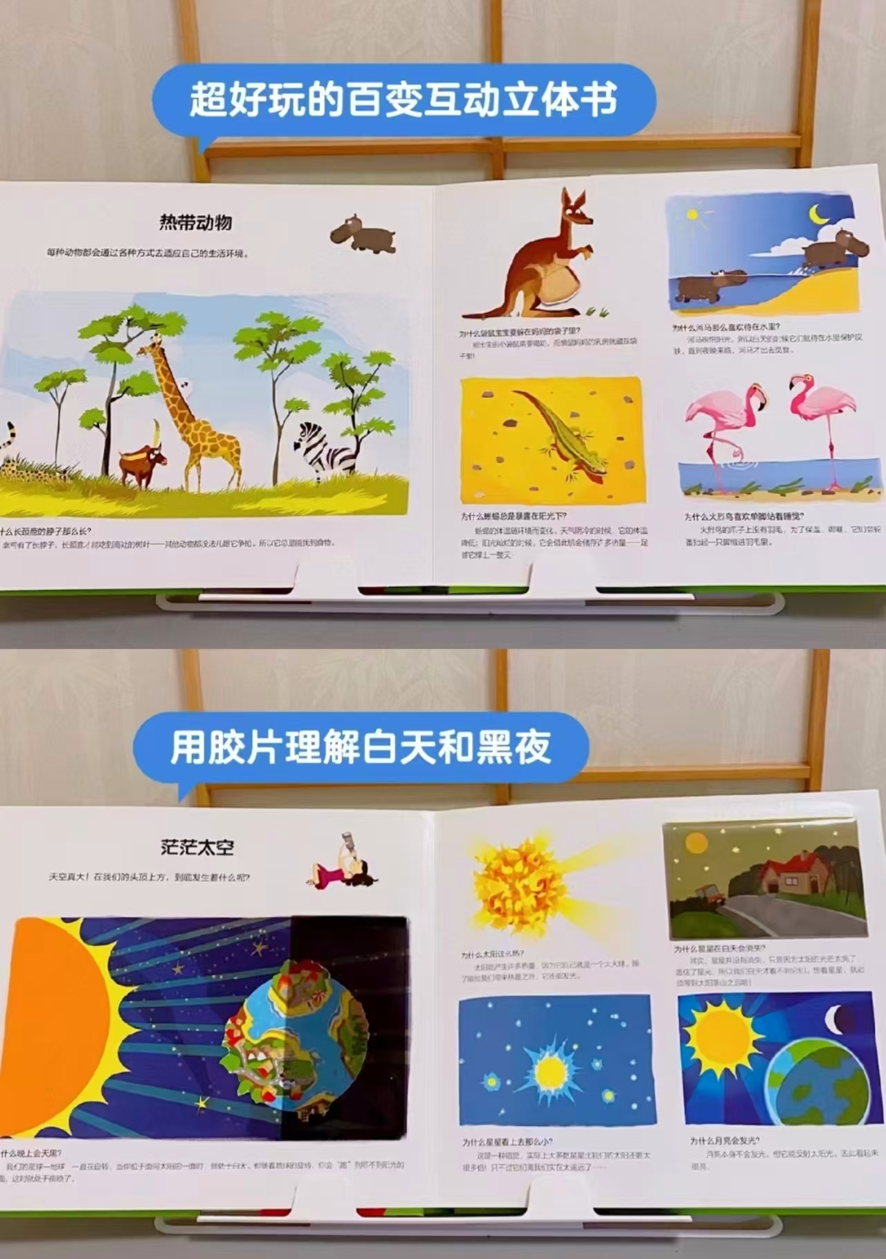 我的第一套拉鲁斯百变互动小百科这是为什么？ 30.4元 - 86线报
