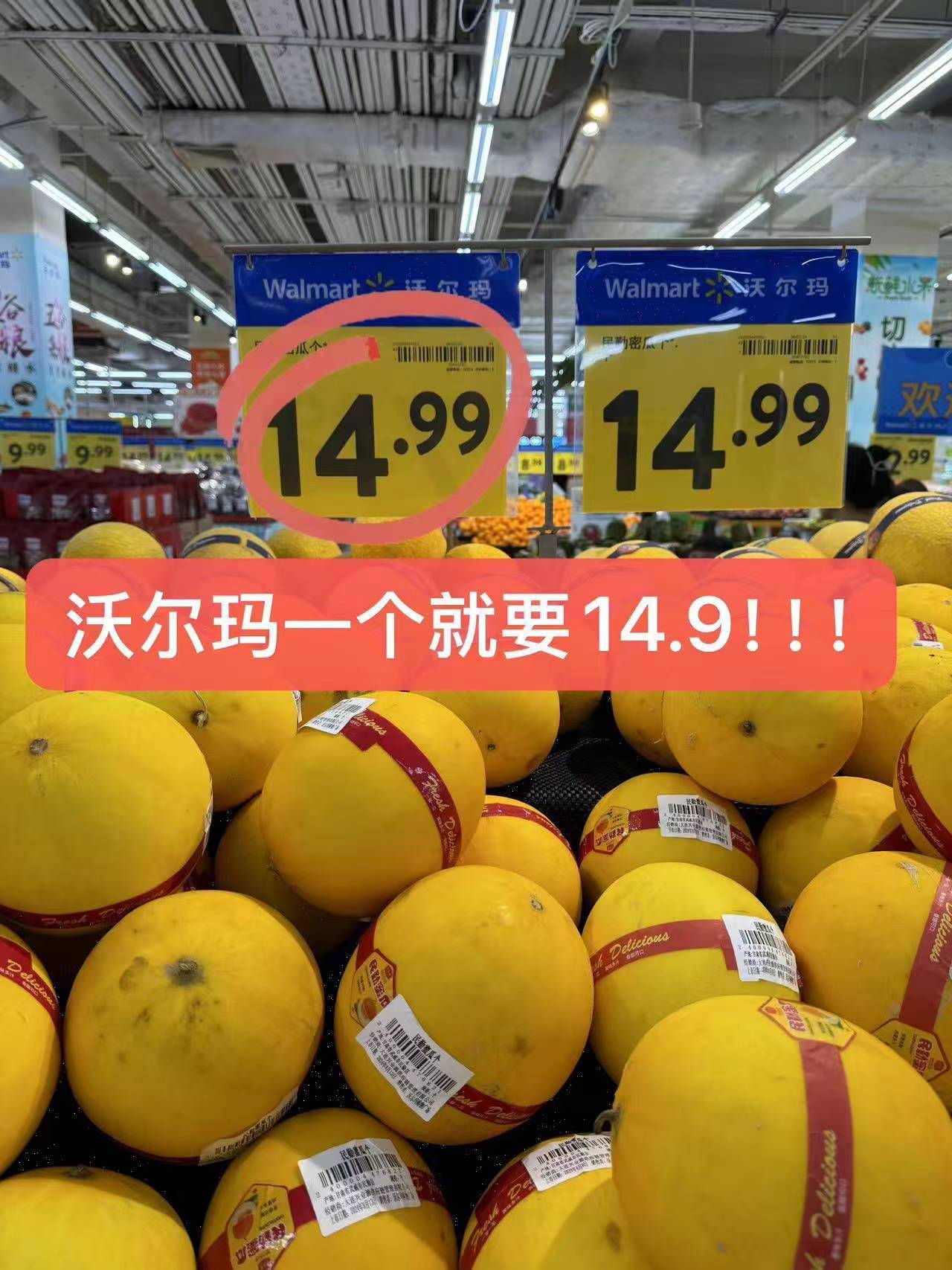 民勤蜜瓜到手1.5-2斤 5.99元 - 86线报 民勤蜜瓜到手1.5-2斤 5.99元 - 86线报