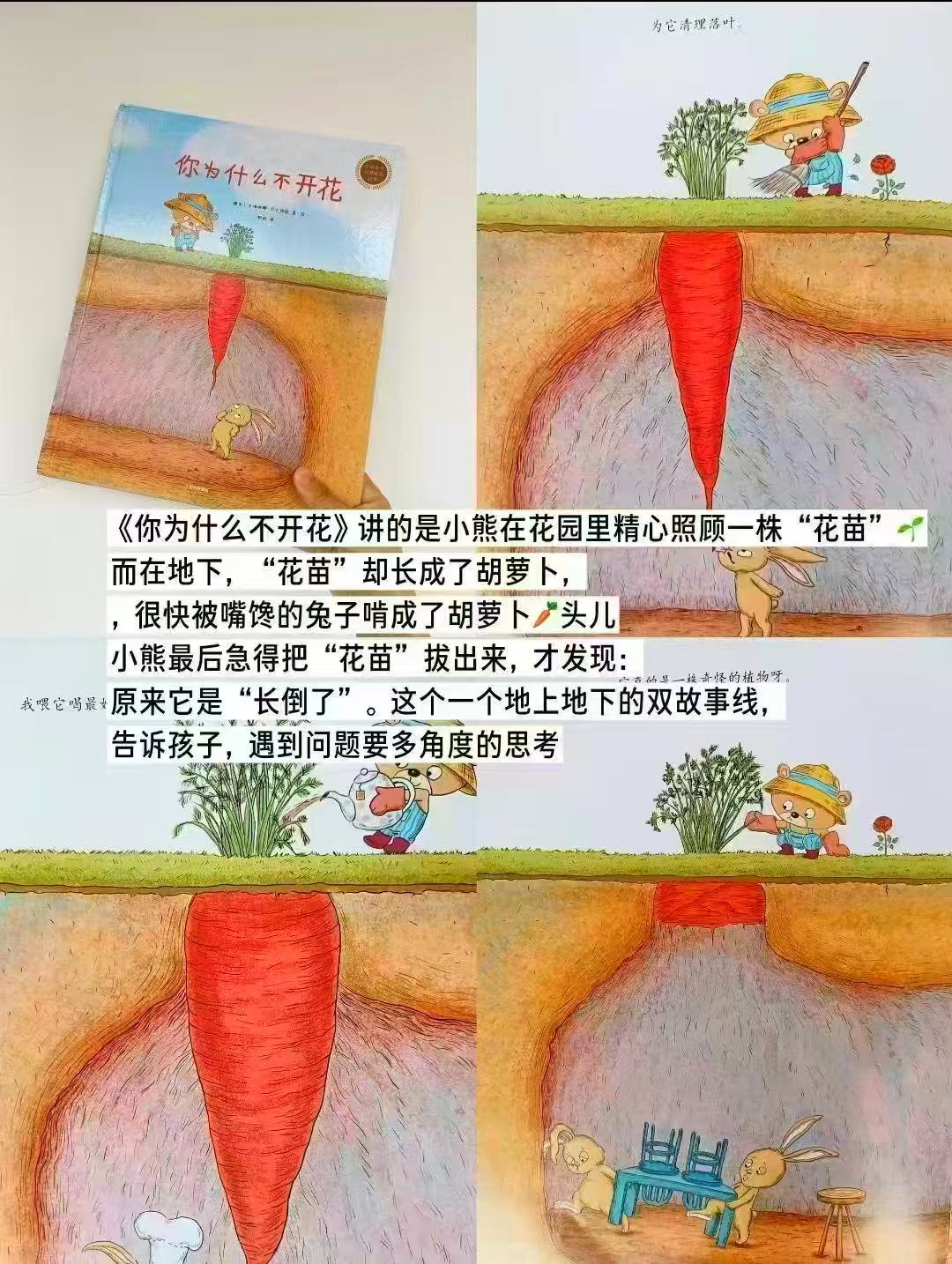 你为什么不开花 20.4元 - 86线报