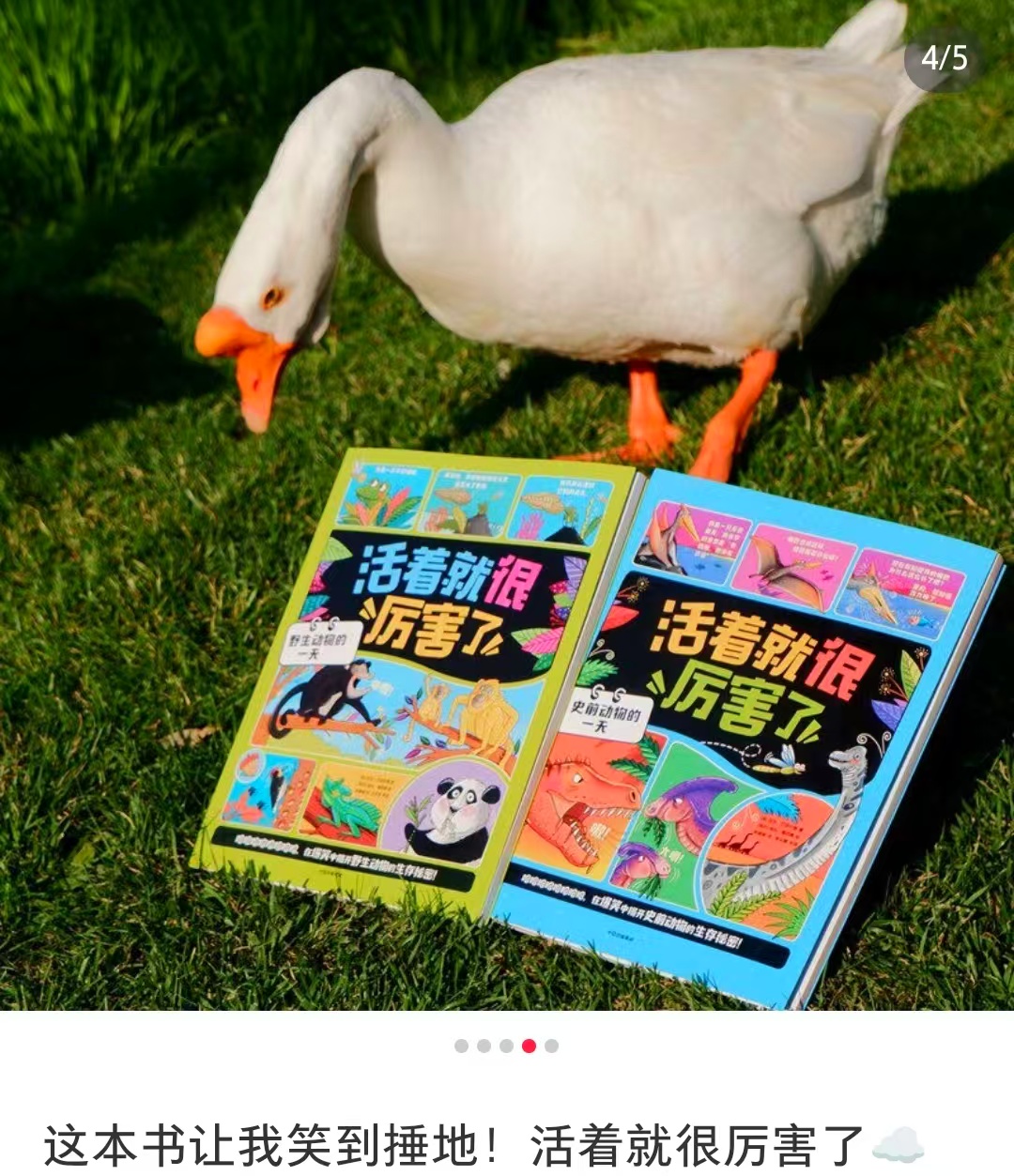 地球上的爆笑生活野生动物的一天史前动物的一天2册 47元 - 86线报