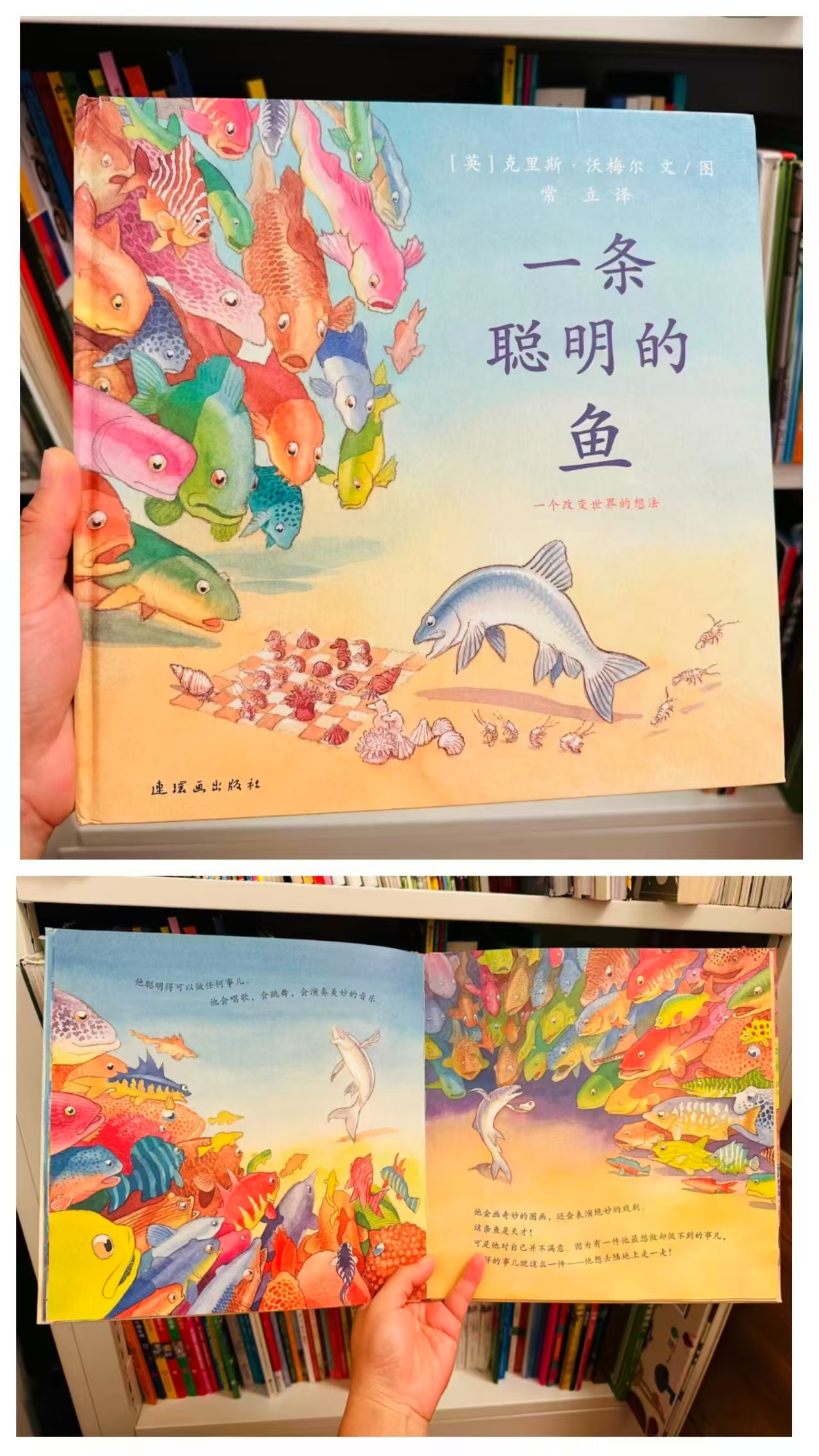 蒲蒲兰蚂蚁和西瓜 17.2元，蒲蒲兰小船的旅行 19.7元，蒲蒲兰红绿灯变变变 21.8元 - 86线报