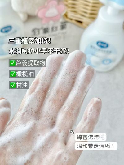 戴可思泡泡花朵洗手液300ml/瓶 13.5元 - 86线报
