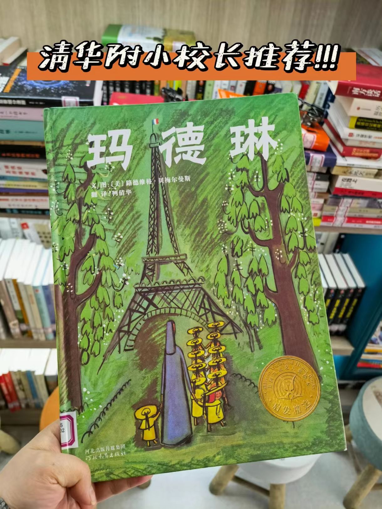 玛德琳凯迪克大奖 6元 - 86线报