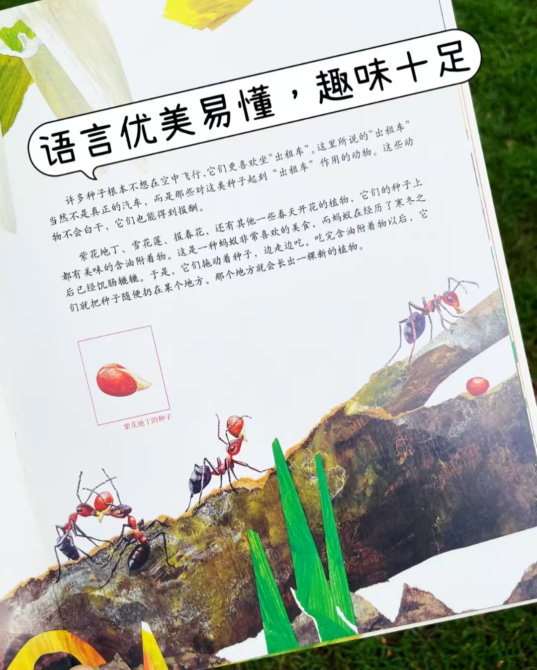 一粒种子的旅行2册 28.4元 - 86线报