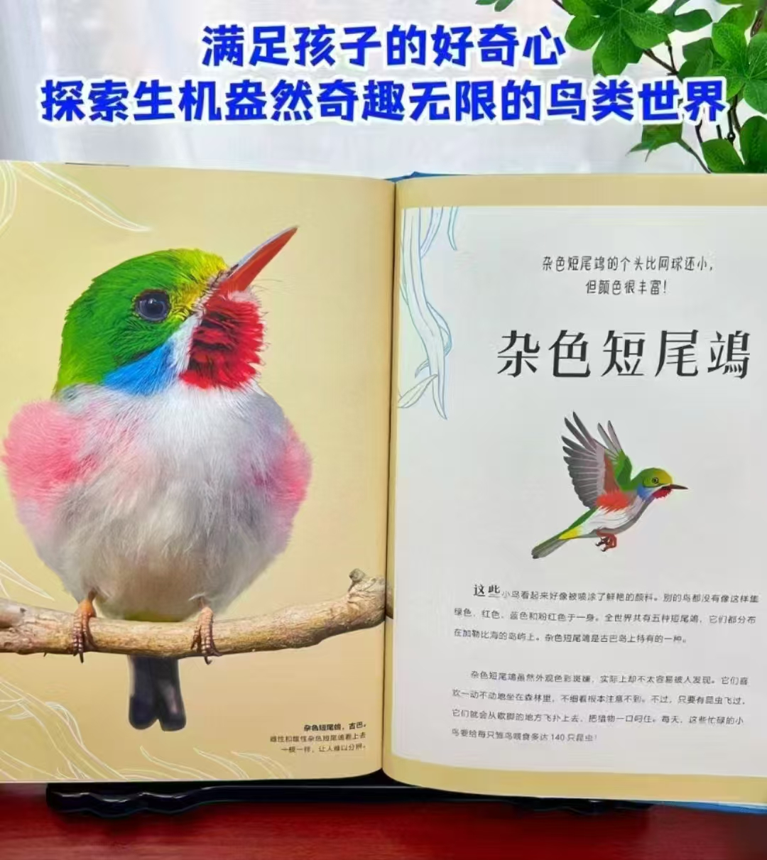 DK典藏科普系列5册 255元 - 86线报