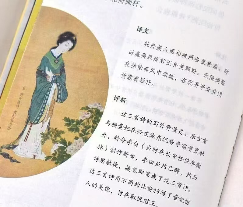 巨童中国古典美学阅读系列读至美唐诗三百首（全套3册）珍藏书套版 29元 - 清风线报