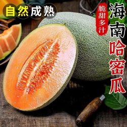 粤迎海南哈密瓜脆甜多汁5斤装 11.9元 - 86线报