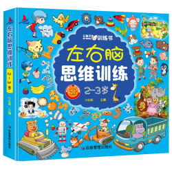 左右脑思维训练2-3岁儿童全脑开发专注力逻辑力想象力益智游戏 5元 - 86线报