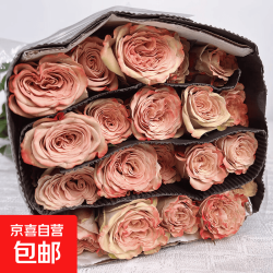 卡布奇诺玫瑰16支+4支防损耗送保鲜剂 13.9元 - 86线报