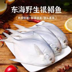 鼎呱鲜冷冻鲜活银鲳鱼深海捕捞舟山鲳鱼500g*3袋 33.73元 - 86线报