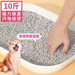 熊熊良铺狗厕所小中大型犬定点上厕所宠物幼犬专用狗砂尿盆防踩屎排便膨润土狗砂5斤 6.23元 - 86线报