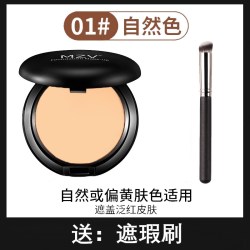 PIPL无痕粉底膏化妆师专用遮瑕膏遮盖斑点脸部黑眼圈粉底液持久不脱妆颜色分类01# - 86线报