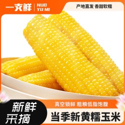 一支鲜东北甜糯玉米粘苞米鲜甜玉米棒新鲜采摘真空装低脂早餐10棒 8.9元 - 86线报