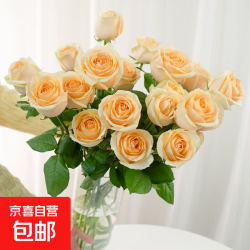 云南鲜花玫瑰花30枝水养花束基地直发随机色玫瑰30枝 18.90元 - 86线报