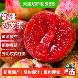 寻天果蔬正宗新疆恐龙蛋李子新鲜应季水果现摘红心杏李时令玫瑰血丝李红肉 17元 - 86线报