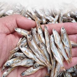 枝宠小乌龟饲料龟粮通用无盐淡水小鱼小虾干零食巴西草龟护甲护壳专用 4.41元 - 86线报