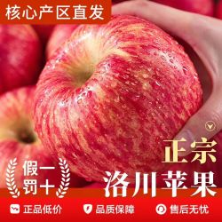福瑞达正宗洛川红富士苹果现摘冰糖心新鲜水果应当季陕西大丑萍果整箱 19.92元 - 86线报