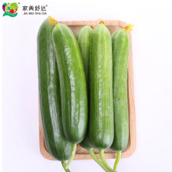 家美舒达山东农特产水果黄瓜1kg小黄瓜轻食新鲜蔬菜 19.9元 - 线报酷