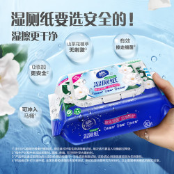 维达山茶花精华家庭装厕所湿巾湿厕纸80片*6包 29.9元 - 86线报