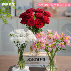 玫瑰10枝+康乃馨10枝+六初花10枝 3束组合装 19.9元 - 86线报
