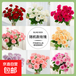 花匠铺精选玫瑰花无土栽培40-45CM随机色10枝 9.9元 - 86线报