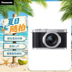 Panasonic DC-L10GK-S M43传感器 银色 数码相机 8998元 - 86线报