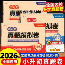 中国和平出版社真题模拟小学升初中总复习卷 12.8元 - 86线报