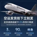 OTN 枕下蓝牙音响骨传导睡眠神器2026新款枕上枕边音碟白噪音枕头音箱