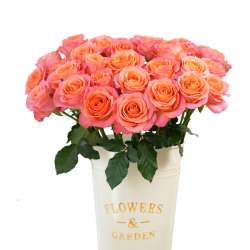 京东鲜花玫瑰花10枝鲜切花 13.9元 - 86线报
