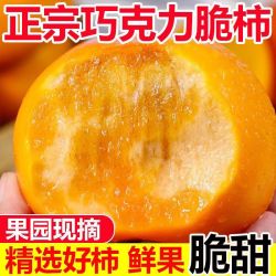 鲜想美现摘脆柿子脆甜新鲜巧克力硬柿子无核水果整箱甜柿子软柿 5.80元 - 折送网