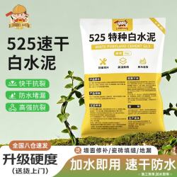 小匠材白水泥速干1kg墙面修补防水堵洞 12.9元 - 86线报