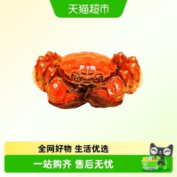 阳澄格调大闸蟹全母蟹鲜活螃蟹现货水产礼盒2.2-2.5两8只 110.1元 - 折送网