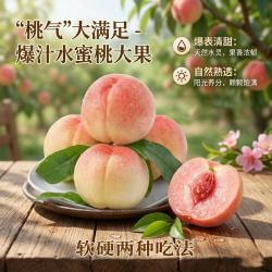 城南堡花西春雪水蜜桃60-65mm4.5斤 14.9元 - 86线报