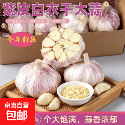 京喜自营干蒜大蒜26年河南蒜头脆嫩蒜瓣生鲜蔬菜批发整头大蒜5斤 12.99元 - 86线报