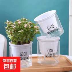 水培透明懒人自动吸水早安盆绿萝北欧简约吊兰绿植多肉100#外径11*高10cm透明款带LOGO+定植篮+棉绳 1.09元 - 86线报